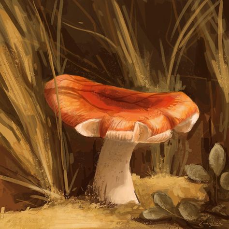 Emma Louise on Instagram: “Study of a mushroom in sunlight. Swipe for my reference. I’m really excited about this piece! I think it’s a step in my understanding of…” Art Phone Wallpaper, Boho Mushroom, Mushroom Painting, Orange Mushroom, Ipad Background, Food Painting, Mushroom Decor, Mushroom Art, Cute Backgrounds