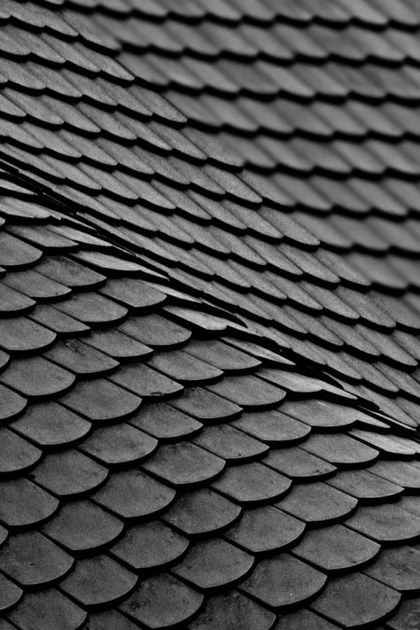 Archillect on Twitter: "https://t.co/yXZ5qP4QPb" Japanese Roof, Roofing Shingles, Black And White Photograph, Material Textures, Roof Tiles, Materials And Textures, Roof Shingles, Metal Roof, Surface Textures