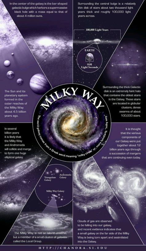 Astronomy Facts, Different Planets, Space Facts, Spiral Galaxy, Milky Way Galaxy, The Milky Way, Our Solar System, Space Science, Space And Astronomy