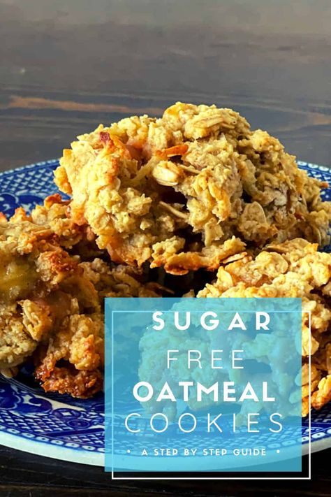 Sugar Free Oatmeal Cookies can satisfy that yearning for the good old fashioned comfort cookie without any added sugar. We add sugar free butterscotch morsels to ours for more homemade goodness. Old Fashion Oatmeal Cookies Quaker, Sugar Free Cookies For Diabetics, No Sugar Oatmeal Cookies, Oatmeal Cookies Without Butter, No Sugar Cookies, Quaker Oatmeal Cookies, Oatmeal Cookies No Flour, Sugarless Cookies, Sugar Free Oatmeal Cookies