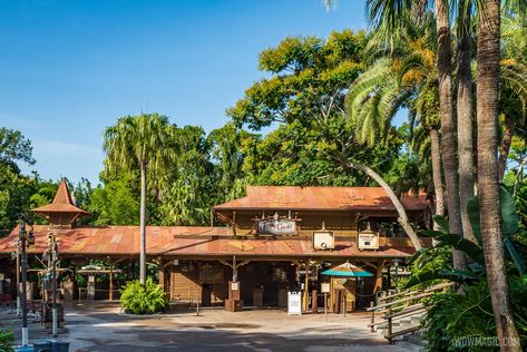 Walt Disney World Moves Up Jungle Cruise Reopening Date Following Refurbishment Sunken Boats, Coronado Springs Resort, Cruise Disney, Jungle Cruise, Hollywood Studios Disney, Disney Photos, Waterpark, Disney Dining, Disney Springs