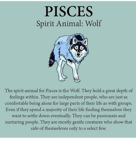 Gemini X Pisces Love, Pisces Spirit Animal, Spirit Animal Wolf, March Pisces, Pisces Virgo, Libra Aries, Pisces Personality, Pisces Traits, Pisces Girl