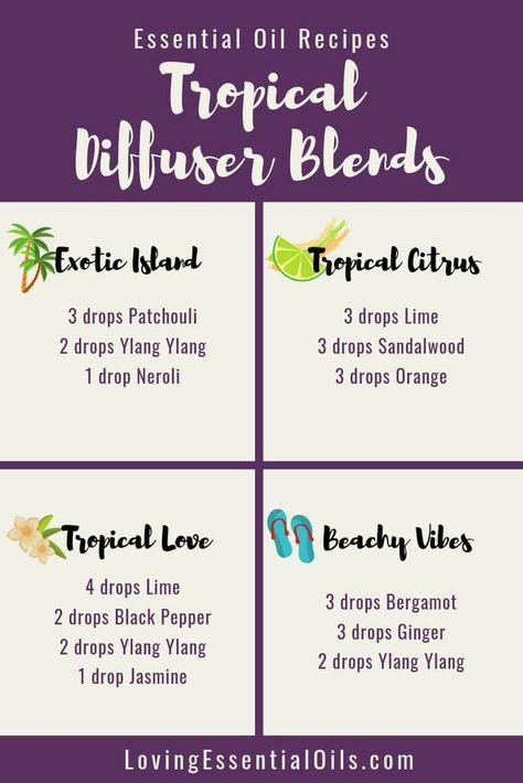 Tropical Essential Oils with Diffuser Blends by Loving Essential Oils | Learn more about essential oils with a tropcial scent and get more diffuser blends recipes. #lovingessentialoils #tropicalessentialoils #diffuserrecipes Tropical Scents Essential Oils, Tropical Essential Oil Blend, Tangerine Essential Oil, Neroli Essential Oil, Essential Oil Diffuser Blends Recipes, Diy Perfume, Essential Oil Diffuser Recipes, Oil Diffuser Recipes, Essential Oil Blends Recipes