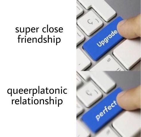 Queerplatonic Relationship, Queer Platonic, Heart Memes, Platonic Relationship, Love You Friend, Platonic Love, Reaction Images, Gay Memes, Personal Aesthetic