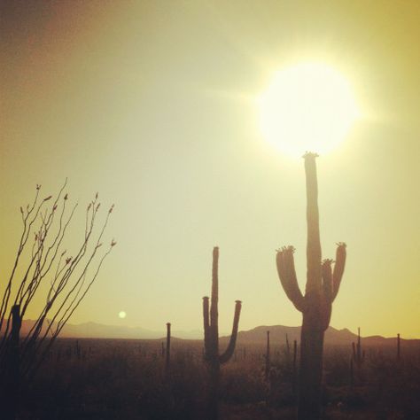 Types Of Witchcraft, Desert Beauty, Scorching Sun, Sun Aesthetic, Moon Vintage, Southern Arizona, Feels Like Summer, Desert Sun, First Day Of Summer