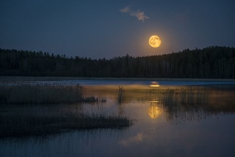 Moon Place, Spooky Halloween Pictures, Still Of The Night, Night Landscape Photography, Moonlight Photography, Moonlight Painting, Background References, Mirror Palais, Moon Dance