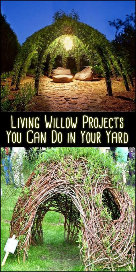 Willow Projects, Willow Structures, Living Willow, Willow Garden, Design Backyard, Personal Retreat, Garden Backyard, The Secret Garden, Backyard Living