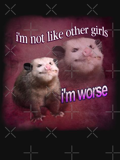 Possum And Raccoon, Raccoon And Possum, Possum Memes, Raccoon Memes, Raccoon Love, I'm Not Like Other Girls, Awesome Possum, Silly Goober, Funny Animal Photos