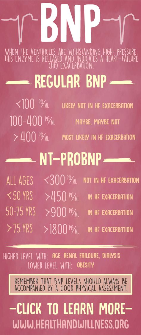 Become an EXPERT at interpreting cardiac labs. It's never been more essential for nurses to know their labs - learn all about troponin, CK, CK-MB, and BNP! #RN #nursing Medical Notes Study Guides, Nursing Knowledge, Nursing Labs, Nursing School Scholarships, Nursing School Prerequisites, Nursing Information, Medical Notes, Notes Study, Nursing Life