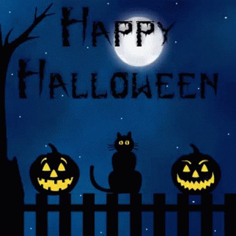 Spooky Happy Halloween GIF - Spooky HappyHalloween Pumpkins - Discover & Share GIFs Holiday Card Quotes, Happy Halloween Gif, Witch Gif, Happy Halloween Quotes, Happy Halloween Pictures, Night Witches, Happy Halloween Pumpkin, Halloween Eve, Halloween Bingo