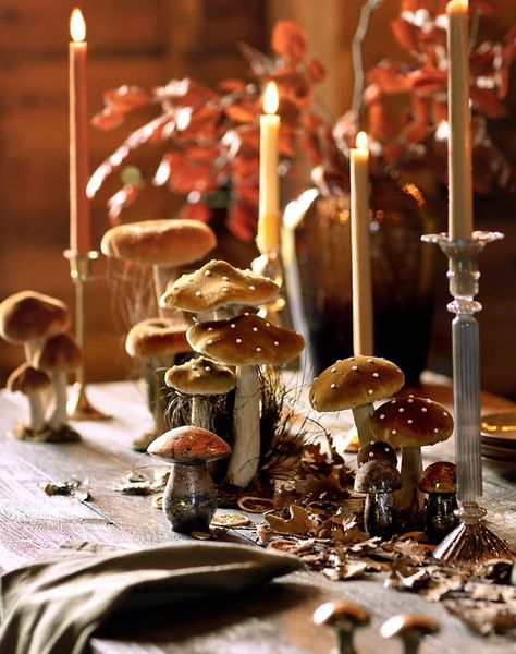 Velvet Mushrooms, Mushroom Decor, Fall Table, The Velvet, Forest Wedding, Samhain, Fall Halloween, Sales Gifts, Party Time