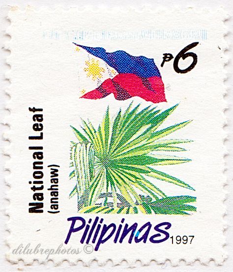 Philippines. NATIONAL LEAF, ANAHAW. Scott 2223 A610j, Issued 1996 Nov 21, 6. /ldb. Anahaw Tattoo, Retro Filipino, Car Livery, Tiger Balm, Filipino Art, Philippine Art, Philippines Culture, Siargao, Rare Stamps