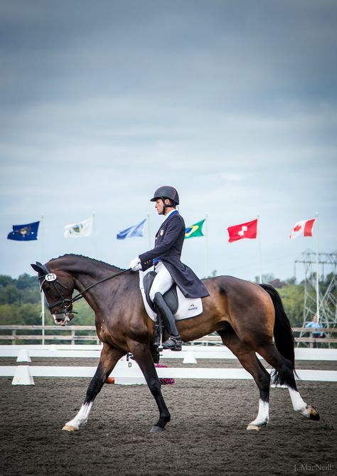 Boyd Martin, Dressage Photography, Horse Rider Outfit, Dressage Competition, Different Horse Breeds, Horse Riding Aesthetic, Equestrian Dressage, Akhal Teke Horses, Warmblood Horses