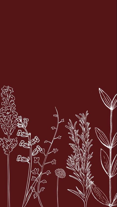 Maroon Aesthetic, Dark Red Wallpaper, Paper Background Design, Wallpaper Flowers, Hippie Wallpaper, Apple Watch Wallpaper, Phone Wallpaper Patterns, Minimalist Wallpaper, Flower Phone Wallpaper