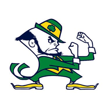 Sports fan gear for the student, alumni or super fan of the Notre Dame Fighting Irish.  NCAA college logo bedding, game day gear, decals, party supplies, gifts and other collectible sports merchandise at Team Sports. Notre Dame Logo, Noter Dame, Embossed Graphics, Outdoor Logos, Sports Flags, Notre Dame Football, Notre Dame University, Irish Men, Foam Core