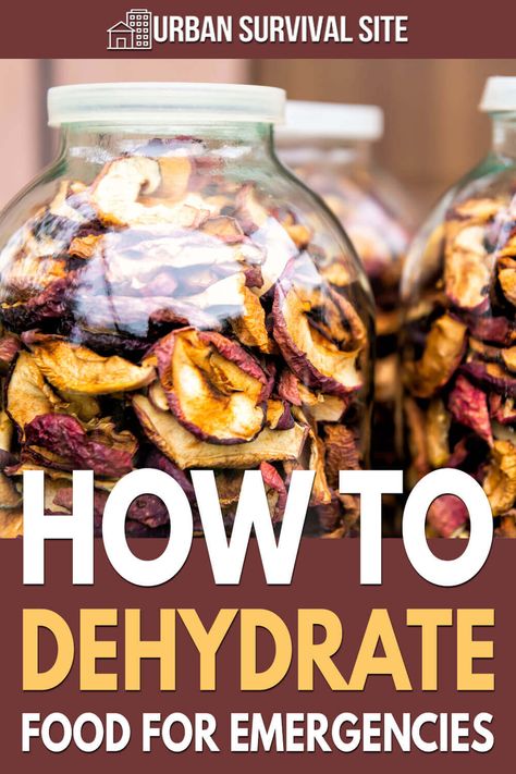 Food For Emergencies, Pagan Food, Dehydrator Recipes Fruit, Eat More Healthy, Dehydrating Recipes, Camping Kits, Dehydrating Food Storage, Food Prepping, Food Dehydration