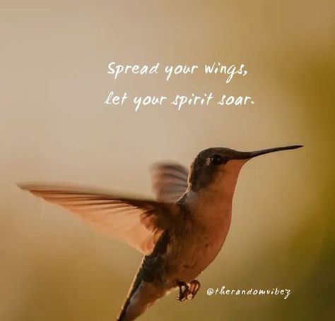 60 Hummingbird Quotes And Sayings To Inspire You Hummingbird Spiritual Meaning, Hummingbird Quotes, Hummingbird Meaning, Hummingbird Symbolism, Trending Sayings, Tooth Fairy Letter, Brave Wings, Bird Quotes, Hummingbird Art