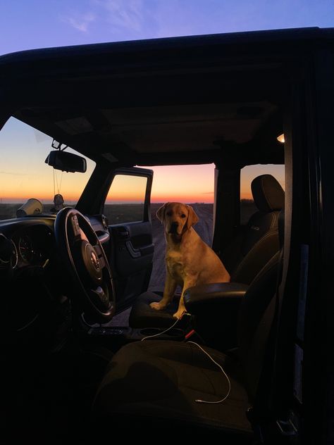 Dogs In Car Aesthetic, Jeep Road Trip Aesthetic, Dog In Jeep, Road Trip Pictures, Car Manifestation, Road Trip Must Haves, Van Road Trip, Camper Dog, Road Trip Aesthetic