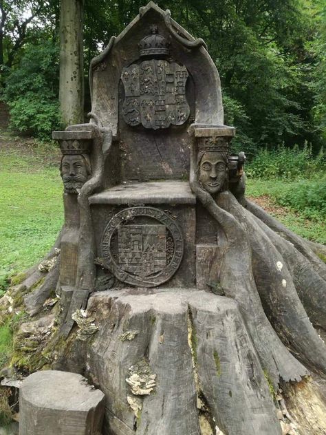 Tree Throne, Wood Stumps, Deer Drawing, Tree Felling, Forest Plants, Beech Tree, Tree Stump, M F, Cool Furniture