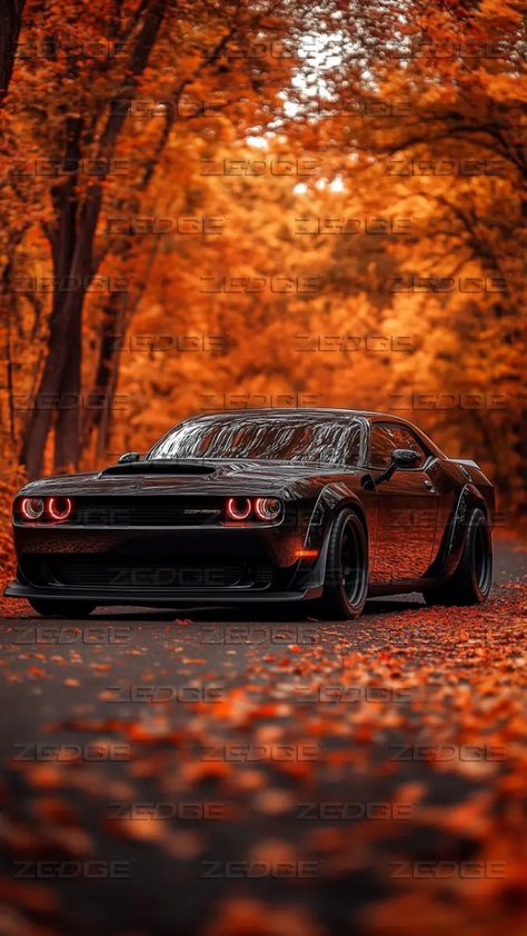 Dodge Challenger Demon Wallpaper, Dodge Challenger Hellcat Wallpapers, Doge Demon, Hellcat Wallpaper, Dodge Sports Car, Dodge Srt Demon, Demon Hellcat, Doge Challenger, Demon Wallpaper