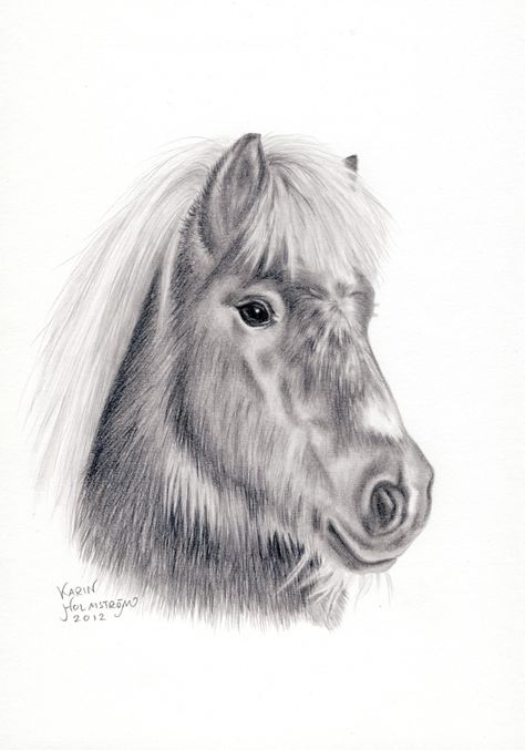 Animal Line Drawings, Horse Art Drawing, Horse Sketch, Shetland Pony, Animal Art Prints, Simple Canvas Paintings, Painted Pony, Horse Portrait, Horse Drawing