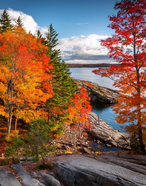 Fall Photography, Autumn Landscape, Scenic Nature, Fall Colors, Lakeside Serenity, Peaceful Nature, Seasonal Beauty, Fall Vibes, Nature Tranquility Digital files on JPG: 5x7", 8x10", 11x14", 16x20" 18x24" Canada Fall, Fall On The Beach, Autumn Landscape Photography, Fall Photo, Fall Landscape, Fall Season Pictures, Fall Images, Autumn Nature, Scenic Photography