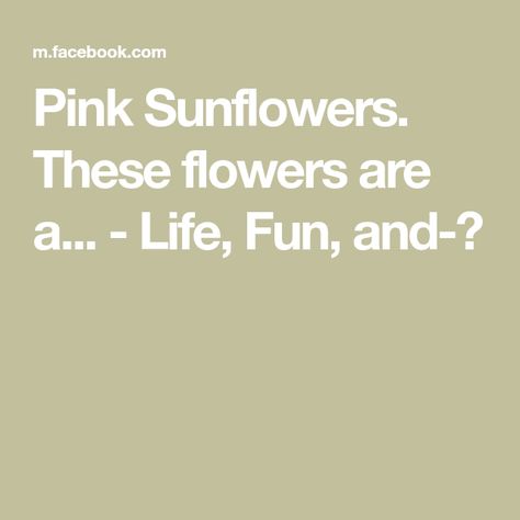 Pink Sunflowers. These flowers are a... - Life, Fun, and-? Midnight Oil, Pink Sunflowers, The Sunflower, Fireplace Design, Sunflower, Seeds, Fireplace, Flowers, Pink