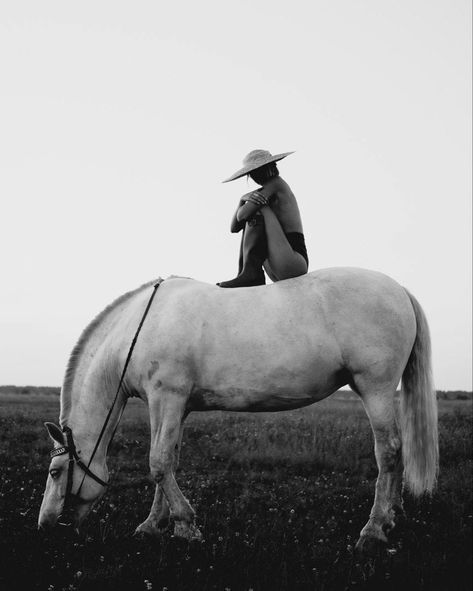 Horse Photography Poses, Wow Photo, Robert Mapplethorpe, Portrait Photos, Trending Pins, Photoshoot Concept, Shooting Photo, Horse Photos, Horse Photography