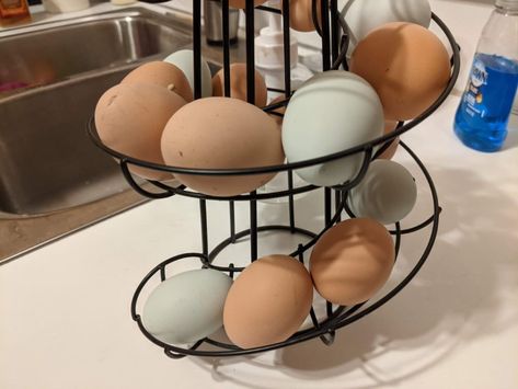 Storing Eggs On Counter, Counter Top Egg Storage, Chicken Eggs Storage, Fresh Eggs Storage, Above The Fridge Ideas, Storing Fresh Eggs, Fresh Egg Storage, Fresh Egg Holder, Above The Fridge