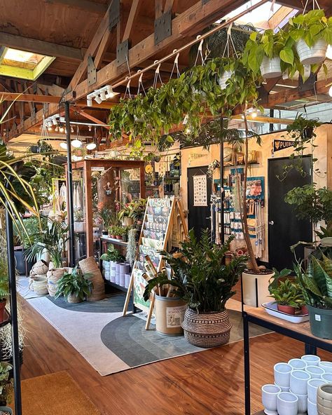 Coffee + plants = life 🪴🤓 House Plant Store Ideas, Plant Shop Decor, Opening A Plant Shop, Coffee Plant Shop, Plant Store Display, Plant Store Aesthetic, Plants And Coffee, Bedroom Moodboard, Coffee Plants