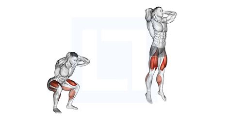 Squat Jumps, Squats Muscles Worked, Benefits Of Squats, Squat Form, Squat Variations, Lower Body Muscles, Lower Back Muscles, Plyometric Workout, Jump Squats