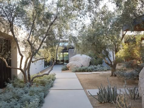 The Modern Mediterranean Garden Modern Mediterranean Garden, Mediterranean Landscaping, Mediterranean Garden, Modern Landscaping, Desert Landscaping, Outdoor Areas, Front Garden, Modern Garden, Walkway