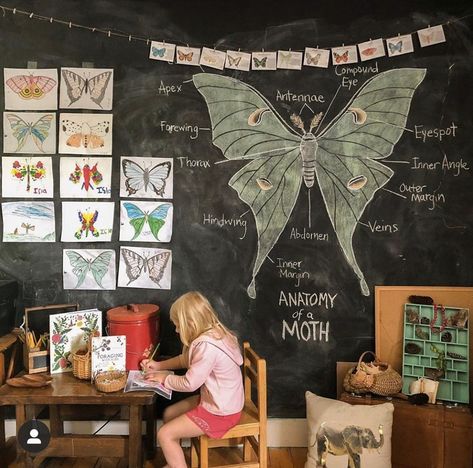 @the.hidden.way shared a photo on Instagram: “Throwing it back to one of my fave chalkboard walls ☺️ ⁣ ⁣  Anddddd boiling sap. ⁣ ⁣ #surprise. 🤣⁣ ⁣ These are the butterfly symmetry…” • Feb 26, 2020 at 9:12pm UTC Nothing Feels Right, Butterfly Symmetry, Chalkboard Walls, Homeschool Room Design, Home Day Care, Chalkboard Doodles, Charlotte Mason Homeschool, Nature School, Throwing It Back