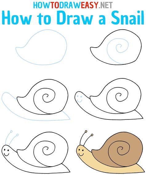 How to Draw a Snail Step by Step #Snail #SnailDrawing #DrawingtheSnail #DrawingofaSnail #HowtoDrawaSnail #ShellDrawing #EasyDrawings #HowtoDraw #HowtoDrawEasy #DrawingTutorial #DrawingGuides #ArtProjectforKids #Arts #Artwork How To Draw A Snail Step By Step, Snail Artwork For Kids, Cartoon Snail Drawing, Snail Outline, Snail Artwork, Snail Life Cycle, Draw Bugs, Snail Drawing, Create Your Own Cartoon