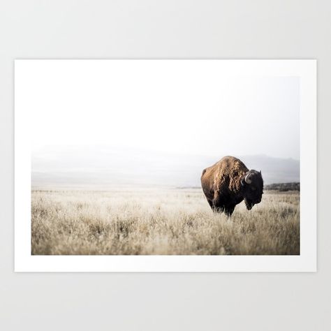 Buy Bison stance Art Print by garrettlockhart. Worldwide shipping available at Society6.com. Just one of millions of high quality products available. Bison Art, Antelope Island, New Wall, Abstract Prints, Unique Decor, High Quality Art Prints, Framed Art Prints, Favorite Things, Wall Prints