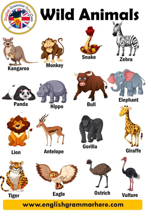 Wild Animals Names In English, Domestic And Wild Animals Activities, Domestic And Wild Animals Worksheets, Wild Animals Worksheets For Kids, Wild Animals Flashcards, Animals Name List, Wild Animals List, Animals List, Fruits Name In English