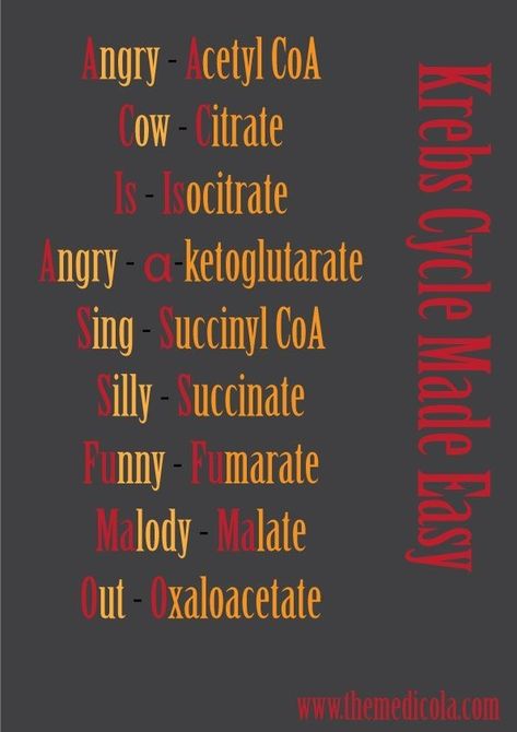 Pneumonics For Neet, Krebs Cycle Mnemonic, Biochemistry Mnemonic, Citric Acid Cycle, Biochemistry Notes, Learn Biology, Chemistry Study Guide, How To Remember, Krebs Cycle