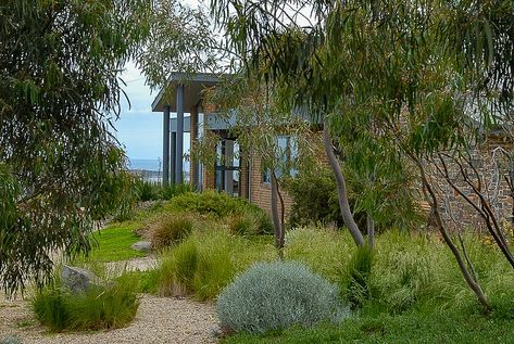 How to design spaces in your native garden - Australian Native Plants Society (Australia) Bush Garden, Native Gardens, Australian Native Garden, Australian Plants, Dry Garden, Australian Garden, Australian Native Plants, Coastal Gardens, Planting Shrubs