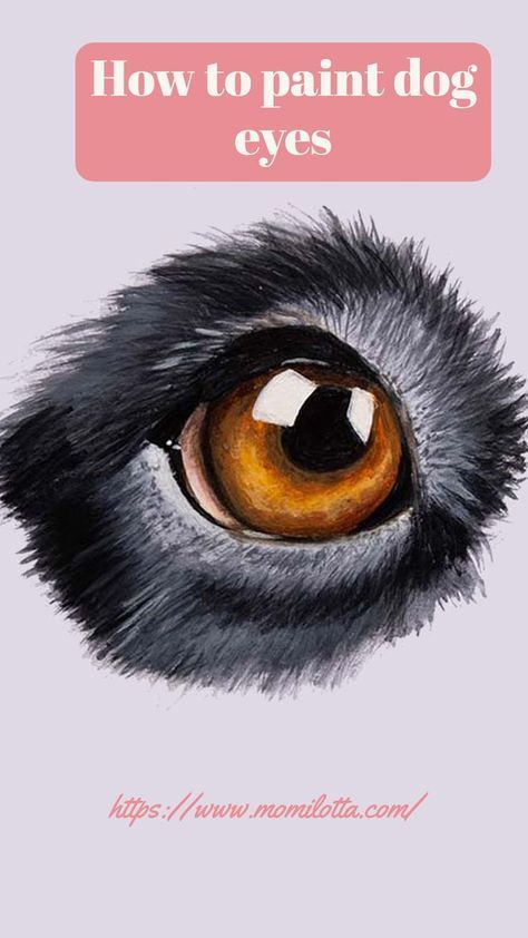 Painting Dog Fur In Acrylic, Acrylic Painting Dogs Pet Portraits, Paintings Of Dogs Acrylic, Painting Dog Eyes, How To Draw Dog Eyes, Painting Dogs Acrylic, Dog Eyes Drawing, Dog Paintings Acrylic, Dog Face Drawing