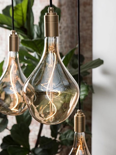 Energy Efficient Lighting, Led Light Bulb, Light Fittings, Lighting Collections, Hand Blown Glass, Home Lighting, Ceiling Pendant Lights, Light Bulbs, Hand Blown