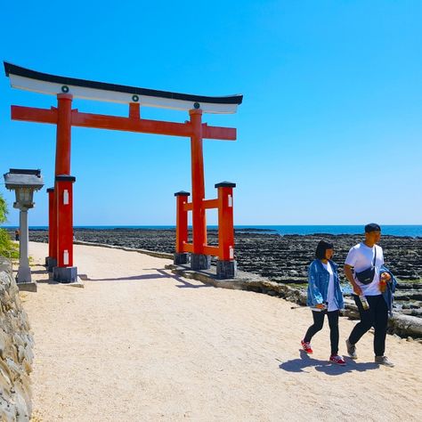 If you enjoy surfing, marine sports, yoga, biking, outdoor cafes and seaside shrines, then you'll absolutely love Aoshima in Miyazaki Prefecture on Japan’s southern island of Kyushu. It's a small beach town where tradition meets modern life in a relaxed environment of clear ocean water, sandy beach and palm trees. ~ ~ ~ ~ #Aoshima #AoshimaBeachPark #Miyazaki #Kyushu #nature #outdoors #Japan #VisitJapan Miyazaki Prefecture, Beach And Palm Trees, Small Beach Town, Clear Ocean Water, Clear Ocean, Outdoor Cafe, Kyushu, Ocean Water, Nature Adventure