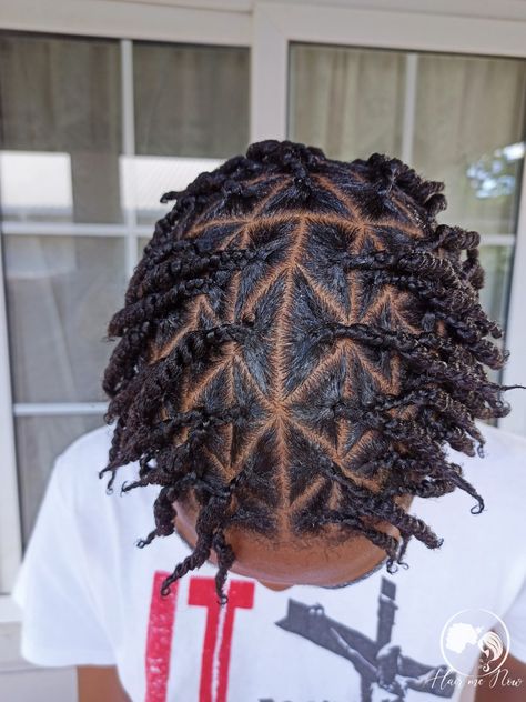 Twisted Natural Hair, Triangle Parts, Mini Twists, Hair Creations, Natural Hair, Natural Hair Styles, Braids, Twist, Hair