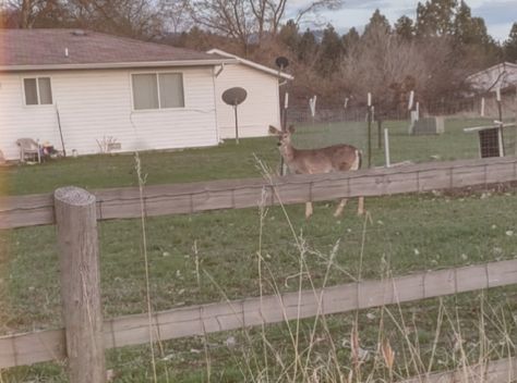 Midwest Emo Aesthetic, Small Town Mystery, Apocalypse Aesthetic, Midwest Emo, Emo Aesthetic, Alex G, Southern Gothic, A Deer, Long Walks