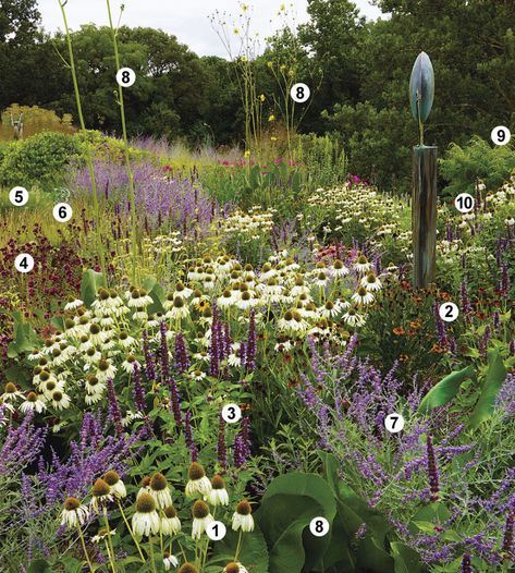 Matrix Planting, Pollinator Garden Design, Planting Design, Native Plant Gardening, Front Yard Garden Design, Planting Plan, Fine Gardening, Garden Show, Plant Combinations