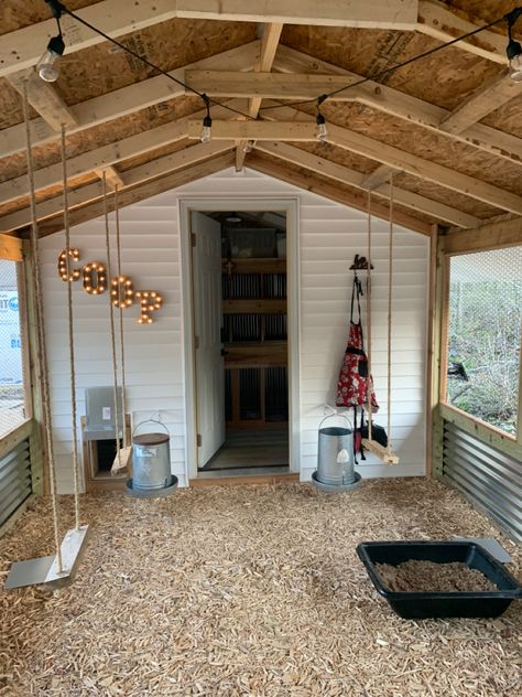 Shed Hen House, Chicken Coop Stalls, Diy Indoor Chicken Coop, Pretty Chicken Coop Ideas, Inside Chicken Coop Decorating Ideas, Chicken Coop Set Up Inside, Chicken Coop Shed Ideas, Boujee Chicken Coop, Chicken Shelter Ideas