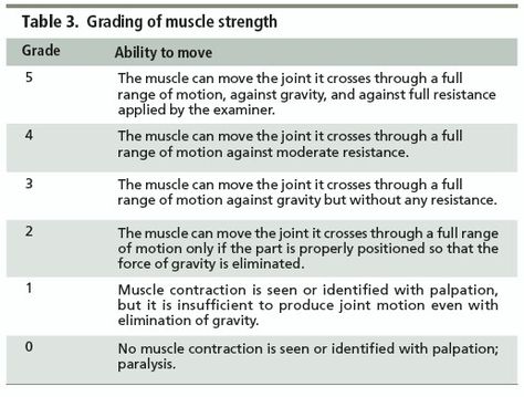 Manual muscle testing grading scale Manual Muscle Testing, Massage Therapy Business, Muscle Testing, Nursing Assessment, Occupational Therapy Activities, Reading Materials, Muscular System, Nursing School Studying, Muscle Power