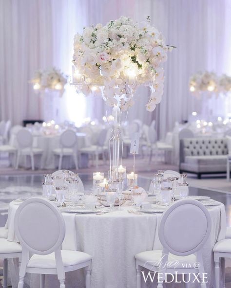 Equal parts dreamy and modern, what is there not to love about this #centrepiece? See more from this #Toronto #wedding on WedLuxe.com, plus get the full story in our new W/S 2017 issue on newsstands NOW! (: @lifeimages, full-service planning and design assistance: @shealynangus, floral and decor: @rachelaclingen, draping: @eventuredesign, linens: @att_linenrental, glassware: @eventrentalgroup, chairs: @detailzchaircouture, venue: @ritzcarlton) White And Silver Wedding Decorations, White And Silver Wedding, White Wedding Decorations, White Wisteria, All White Wedding, Dream Photography, Wedding Event Design, Bride Magazine, White Wedding Flowers