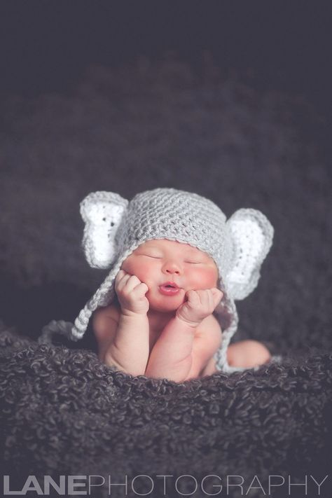 Newborn Elephant Photography, Elephant Newborn Pictures, Baby Picture Ideas Newborn, Cute Newborn Photos, Baby Poses Photography, Babyphotoshoot Photoshoot, Infant Photoshoot Ideas, Photoshoot For Baby, Newborn Baby Shoot