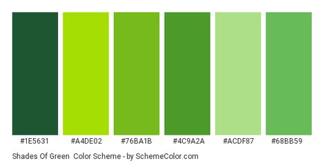 Color scheme palette image Green Color Scheme, Stem Classes, Hexadecimal Color, Green Name, Green Color Palette, Green Color Schemes, Green Palette, Colors Palette, Green Colour Palette