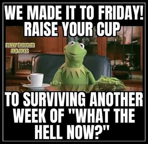 Funny Friday Humor Hilarious Mornings, We Made It To Friday, Laughter Medicine, Made It To Friday, Relatable Humor, Friday Meme, Kermit Funny, 2020 Funny, Workplace Humor